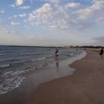 DSC07280